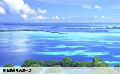 啤酒洗头几天洗一次