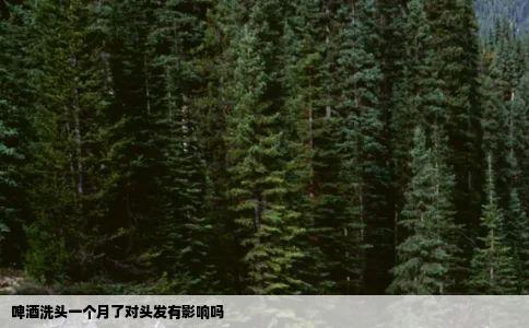 啤酒洗头一个月了对头发有影响吗