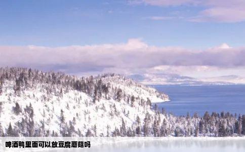 啤酒鸭里面可以放豆腐蘑菇吗