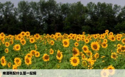 啤酒鸭配什么菜一起焖