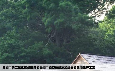 啤酒中的二氧化碳是哪来的是酒中自带还是添加进去的啤酒生产工艺