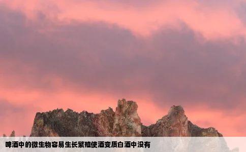啤酒中的微生物容易生长繁殖使酒变质白酒中没有