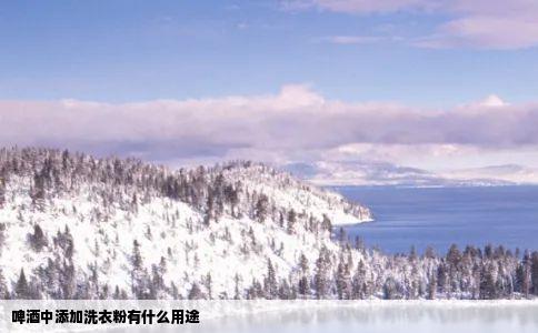 啤酒中添加洗衣粉有什么用途