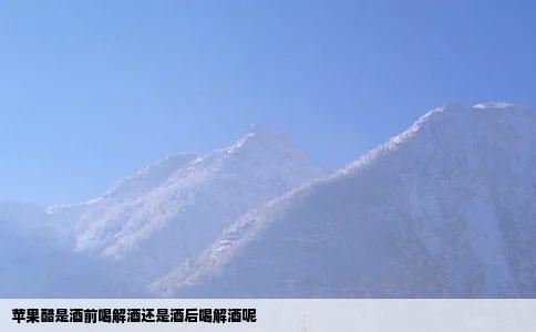 苹果醋是酒前喝解酒还是酒后喝解酒呢