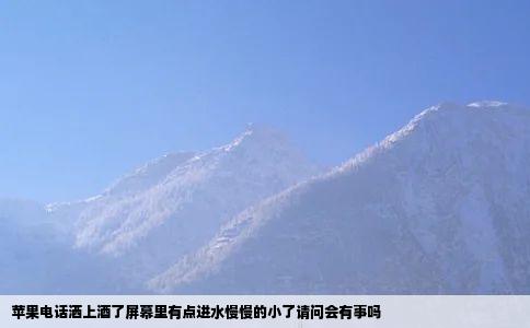 苹果电话洒上酒了屏幕里有点进水慢慢的小了请问会有事吗