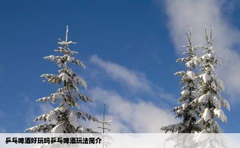 乒乓啤酒好玩吗乒乓啤酒玩法简介