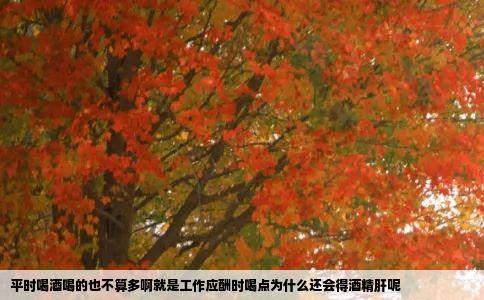 平时喝酒喝的也不算多啊就是工作应酬时喝点为什么还会得酒精肝呢