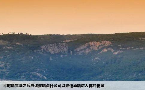 平时喝完酒之后应该多喝点什么可以降低酒精对人体的伤害