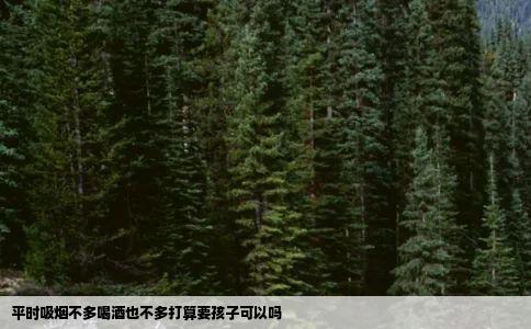平时吸烟不多喝酒也不多打算要孩子可以吗