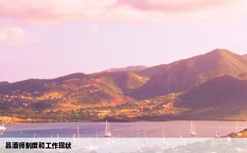 品酒师制度和工作现状