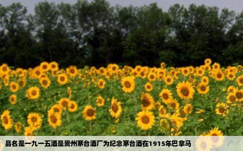 品名是一九一五酒是贵州茅台酒厂为纪念茅台酒在1915年巴拿马