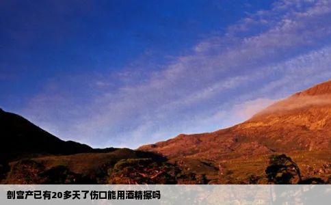 剖宫产已有20多天了伤口能用酒精擦吗