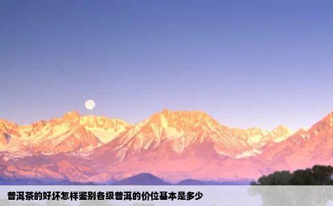 普洱茶的好坏怎样鉴别各级普洱的价位基本是多少