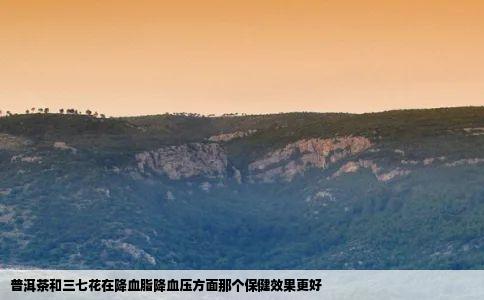 普洱茶和三七花在降血脂降血压方面那个保健效果更好