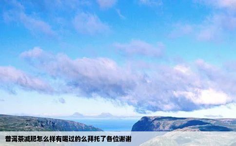 普洱茶减肥怎么样有喝过的么拜托了各位谢谢