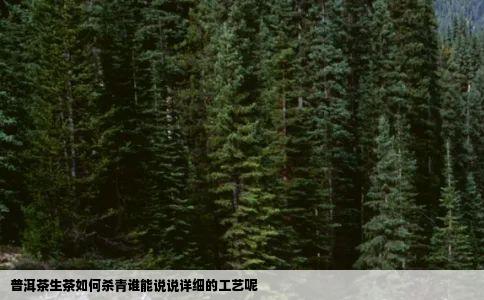 普洱茶生茶如何杀青谁能说说详细的工艺呢