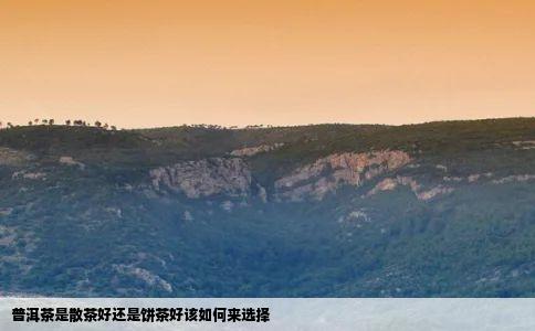 普洱茶是散茶好还是饼茶好该如何来选择