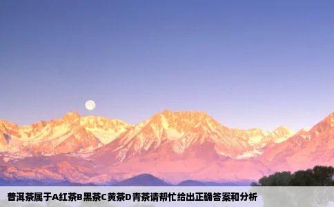 普洱茶属于A红茶B黑茶C黄茶D青茶请帮忙给出正确答案和分析
