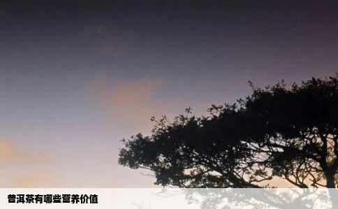 普洱茶有哪些营养价值