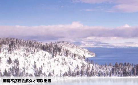 葡萄不挤压会多久才可以出酒