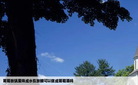 葡萄放锅里烧成水在放糖可以做成葡萄酒吗