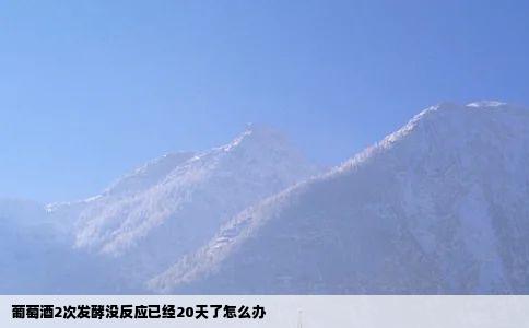 葡萄酒2次发酵没反应已经20天了怎么办