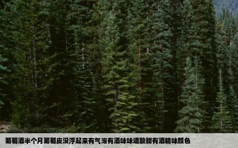 葡萄酒半个月葡萄皮没浮起来有气泡有酒味味道酸甜有酒精味颜色