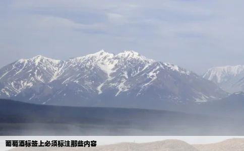 葡萄酒标签上必须标注那些内容