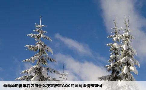 葡萄酒的陈年能力由什么决定法定AOC的葡萄酒价格如何