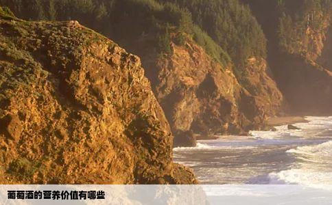 葡萄酒的营养价值有哪些