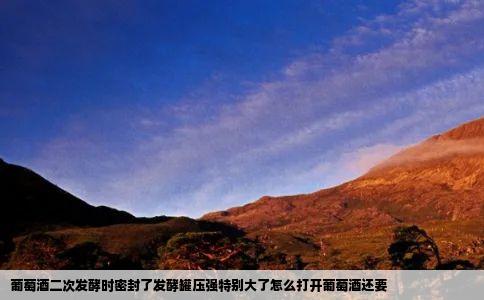 葡萄酒二次发酵时密封了发酵罐压强特别大了怎么打开葡萄酒还要