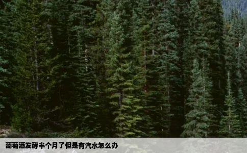 葡萄酒发酵半个月了但是有汽水怎么办