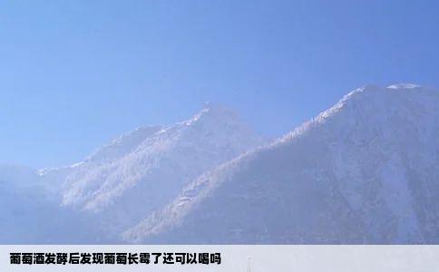 葡萄酒发酵后发现葡萄长霉了还可以喝吗