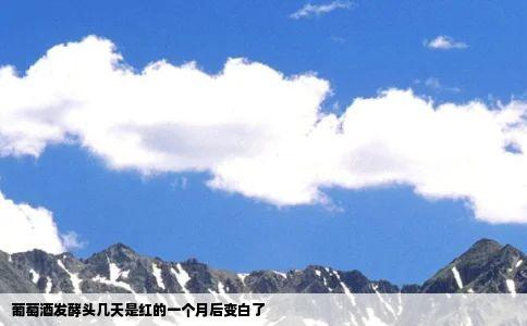 葡萄酒发酵头几天是红的一个月后变白了