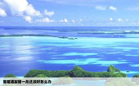 葡萄酒发酵一月还没好怎么办