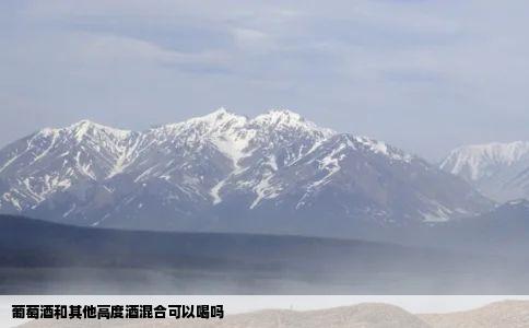 葡萄酒和其他高度酒混合可以喝吗