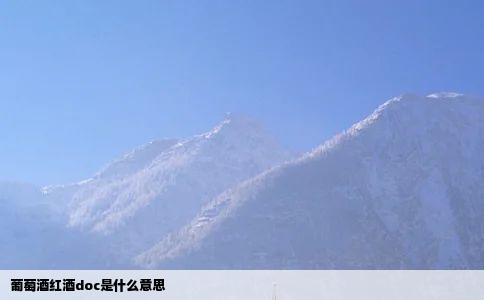 葡萄酒红酒doc是什么意思