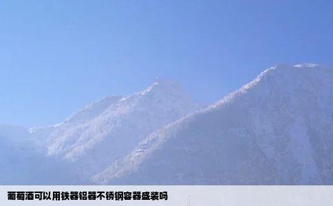 葡萄酒可以用铁器铝器不锈钢容器盛装吗