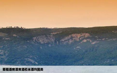 葡萄酒啤酒黄酒和米酒均属类