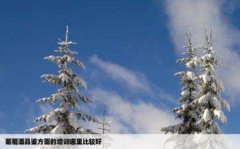 葡萄酒品鉴方面的培训哪里比较好