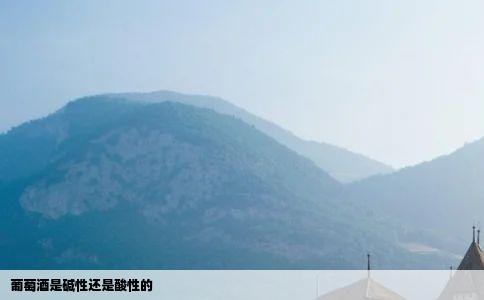 葡萄酒是碱性还是酸性的