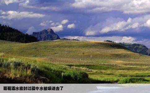 葡萄酒水密封过程中水被吸进去了