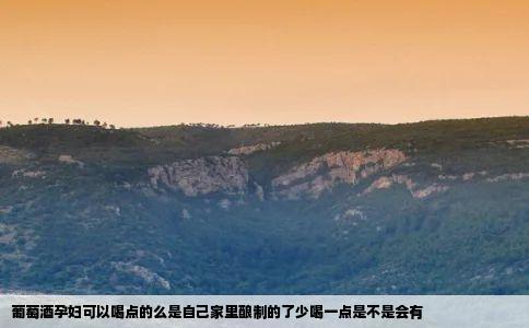 葡萄酒孕妇可以喝点的么是自己家里酿制的了少喝一点是不是会有