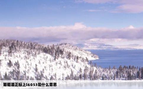 葡萄酒正标上l6053是什么意思
