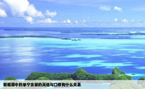 葡萄酒中的单宁含量的高低与口感有什么关系