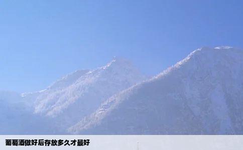 葡萄酒做好后存放多久才最好