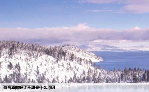 葡萄酒做好了不甜是什么原因