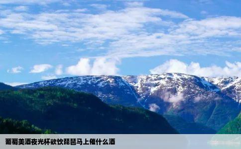 葡萄美酒夜光杯欲饮琵琶马上催什么酒