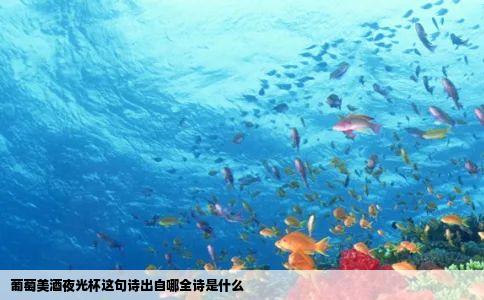 葡萄美酒夜光杯这句诗出自哪全诗是什么