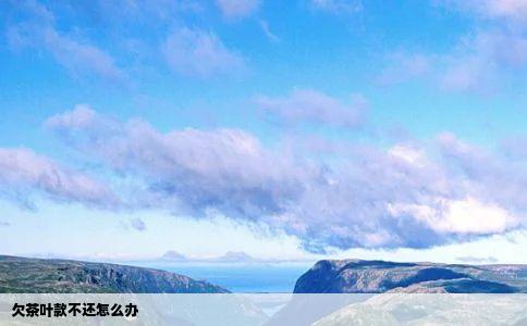 欠茶叶款不还怎么办